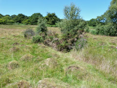 
Graig Wen House level 1, July 2011